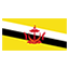 Brunei Darussalam flag for online Skinart Training course listings