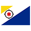 Bonaire flag for online Skinart Training course listings