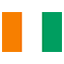 Côte d'Ivoire flag for online Skinart Training course listings