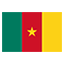 Cameroon flag marking international course availability