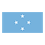 Micronesia flag marking international course availability