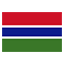 Gambia flag for online Skinart Training course listings