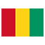 Guinea flag marking international course availability