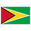 Guyana flag for online Skinart Training course listings