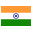 India flag marking international course availability