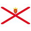 Jersey flag for online Skinart Training course listings