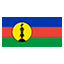 New Caledonia flag for online Skinart Training course listings