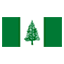 Norfolk Island flag for online Skinart Training course listings