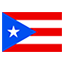 Puerto Rico flag for online Skinart Training course listings