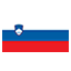Slovenia flag marking international course availability