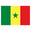 Senegal flag for online Skinart Training course listings