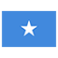 Somalia flag marking international course availability