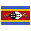 Eswatini flag marking international course availability