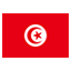 Tunisia flag for online Skinart Training course listings