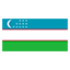 Uzbekistan flag for online Skinart Training course listings